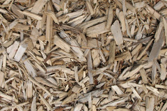 biomass boilers Cornwood