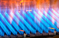 Cornwood gas fired boilers